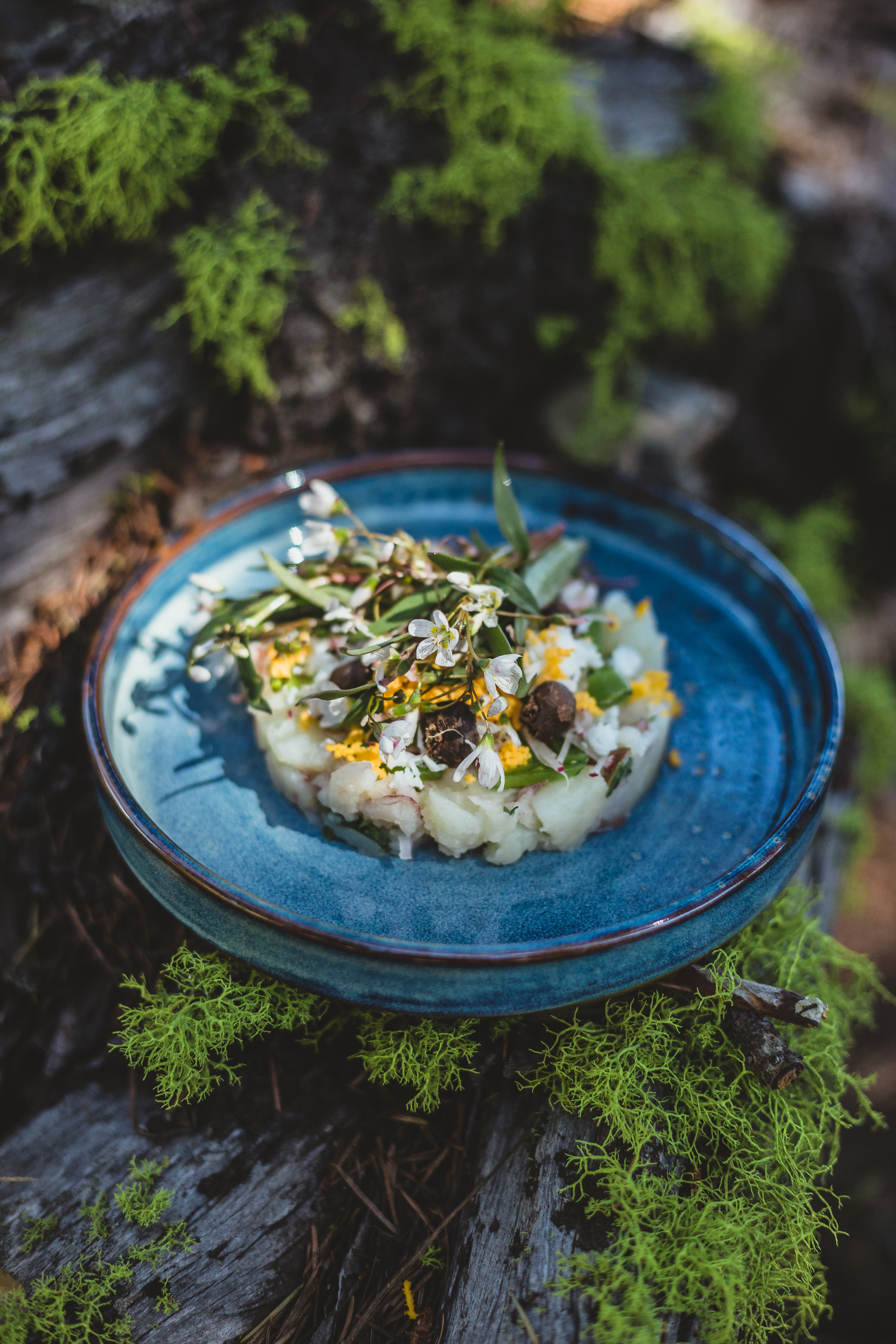 Spring Beauty Mimosa Salad, Wild Harvest